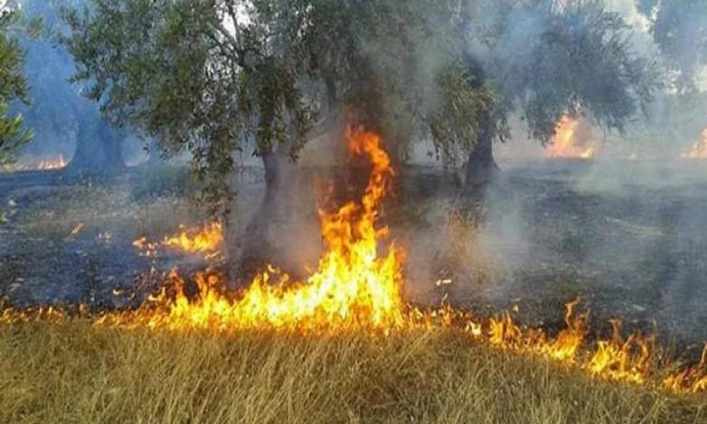 Έρχονται οι αποζημιώσεις στους πληγέντες από τις πυρκαγιές αγρότες